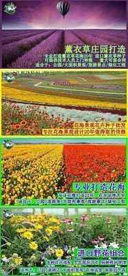 赫斤