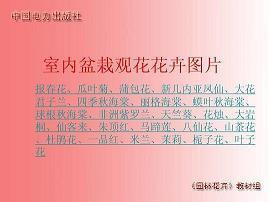 挖潜