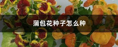 龙东