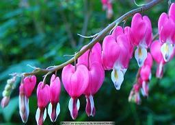 关于阅读名人名言大全