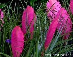 关于古风的句子，唯美古风的句子