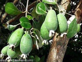 鼓励学生的金句