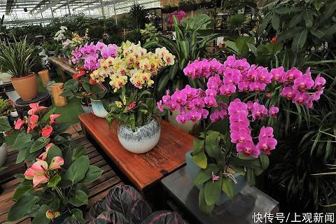 让对方看了难受的说说 伤心绝望心痛心寒的句子(精选77条)