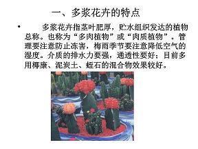 甜到炸的句子给男友 史上最撩人的情话