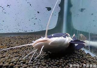 具有诗意的爱情短句 唯美诗意的爱情句子17句