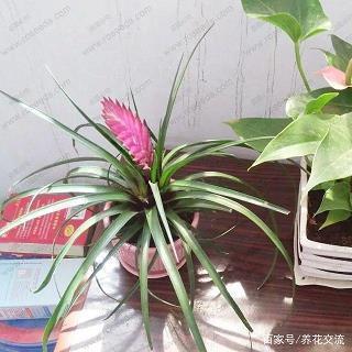 关于选择的唯美句子大全