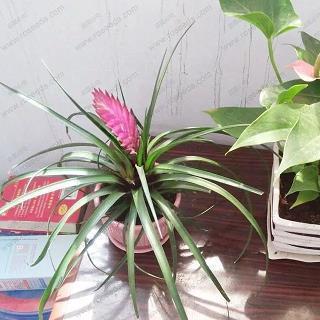 细节决定成败的名人故事七则