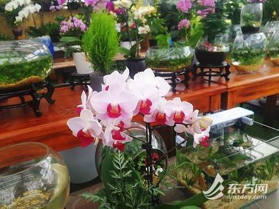 你是我的牵挂的句子【精选17句】