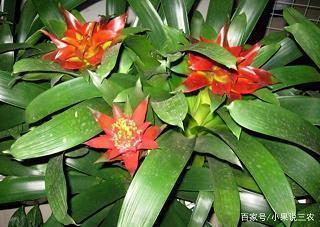 沈从文励志的名言名句37条