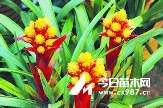 黑格尔 对同一句格言 黑格尔 对同一句格言的启示