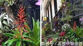 整顿乾坤
