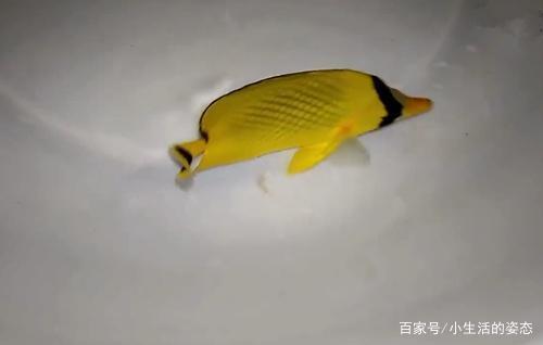 唯美的爱情句子大全 不要因为寂寞而恋爱