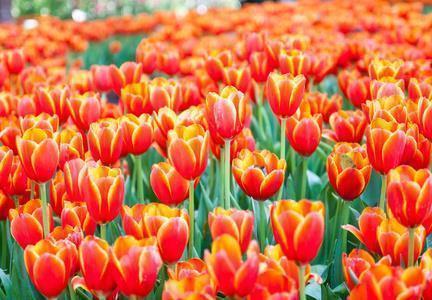 表示人心险恶的句子大全