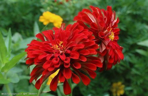 努力拼搏的励志说说： 没有伞的孩子必须努力奔跑