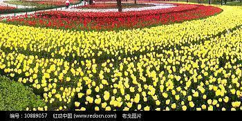 话霸