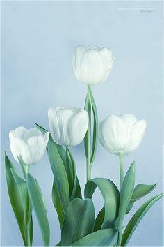 给孩子六一儿童节的祝福语