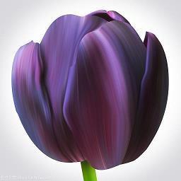 孟子的名言小学生