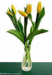 七夕送给爱人的温馨祝福短信