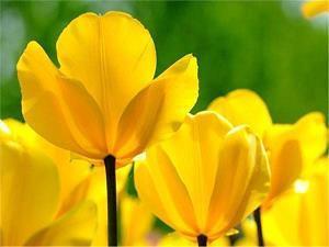学生给老师的教师节祝福语2020年