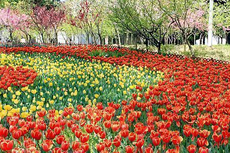 3月3日问候短信