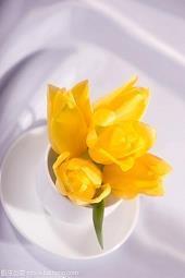 恩师一句话留言大全