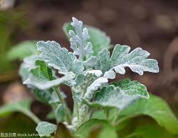 你的答案的励志语录文案