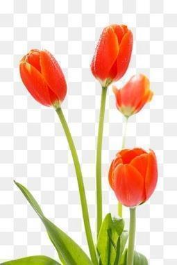 五一劳动节祝福语幽默