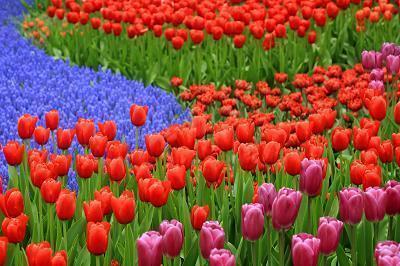 自创品牌女装广告语