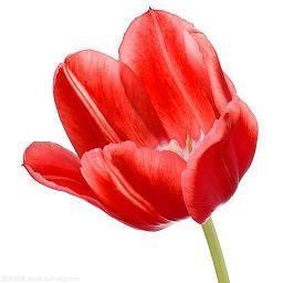 负能量现实的句子