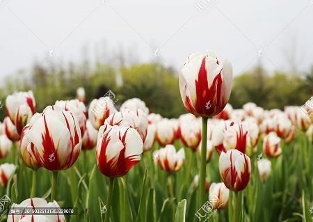 适合晚安发圈的句子 晚上累了发圈的短句