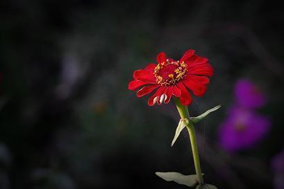 朢
