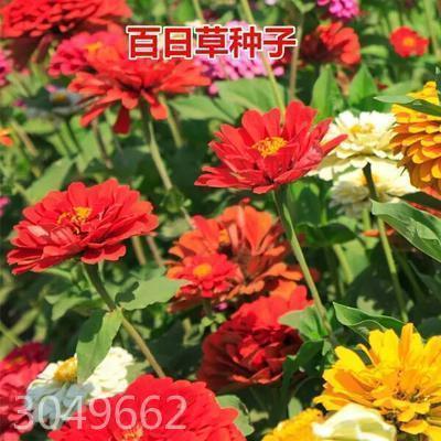 说话做事的小故事：尽职尽责的理发师