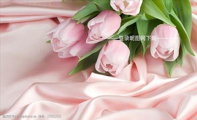 关于春回大地的句子_回不去的伤感句子