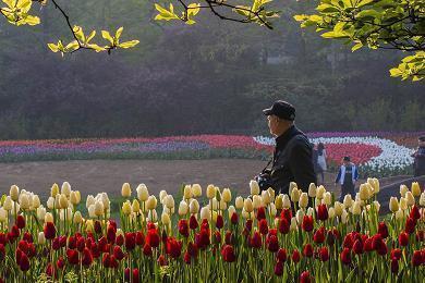 没有谁离不开谁，攒够失望就离开