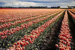 朋友圈晒娃语录 朋友圈晒娃文案句子大全