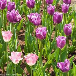 天气热适合发朋友圈的句子，高温天气的朋友圈说说