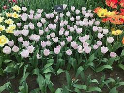 教师节贺卡祝福语大全精选(精选111条)