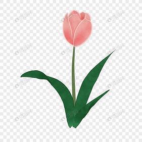 鍡