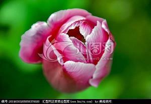 齐白石简介