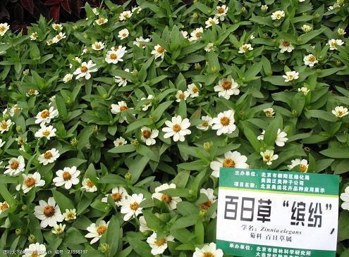 沙涂