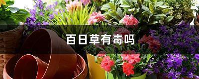 适合宝妈工作励志语录