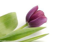 晚安励志正能量的句子