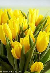 教师节给语文老师的贺卡祝福语大全(精选63条)