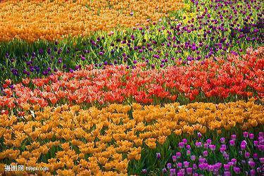 元宵节经典祝福语微信