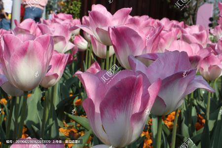 有创意的生日文案 送给自己