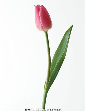 教师节贺卡祝福语大全精选(精选90条)