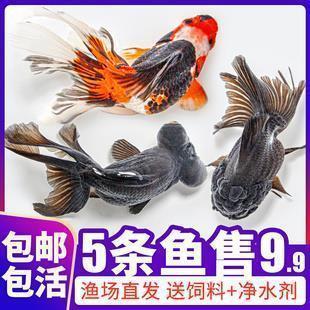 高考加油打气的句子 高考激励的话
