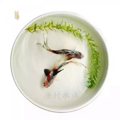 描写尴尬的句子50句