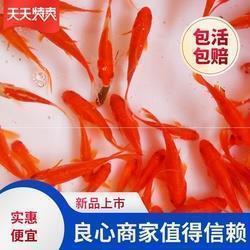 100句关于希望的名言警句