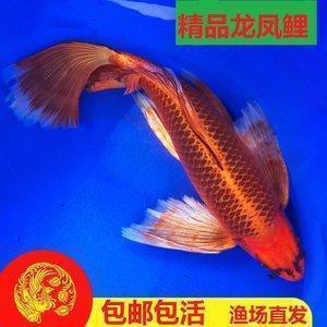 用到了已经造句,用已经写一句话